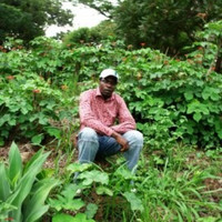 Tongesayi Maenda
