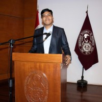 Diego Larico Cruz
