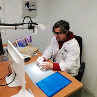Pedro Cortes puerto