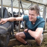 Wesley Brinkhuis
