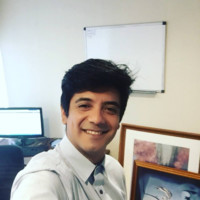 Fernando Cartes