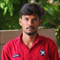 Praveenkumar J