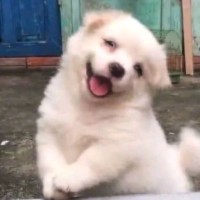 张岳强