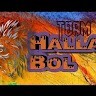 Team Halla Bol Helping Hands