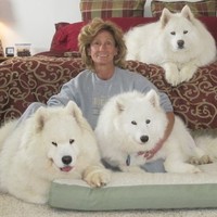Karen Cox