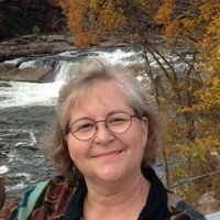 Lisa Hollingsworth-Segedy