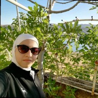 Aya Sabbagh