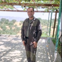 Raed Shukri