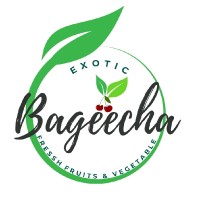 Bageecha Store