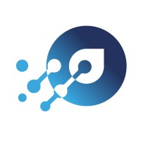 IIS Consultoria
