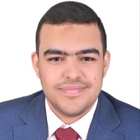 Mostafa B. Behery