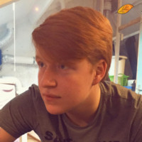 Sander Willems