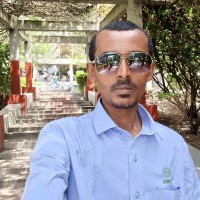 Berhanu Balemi