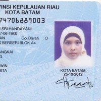 Dyah Ayu Sri Handayani