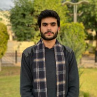 Muhammad Taha Ghauri
