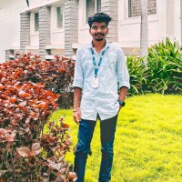 Gokul Raja P
