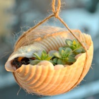 Farm Shell