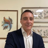Daniele Di Benedetti