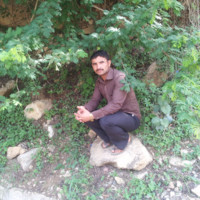 نضال عبد الملك بشير