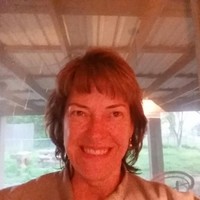 Lisa Shirk