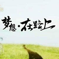 时朝阳