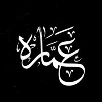 Ammara Saleem