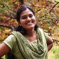 Vidya P V
