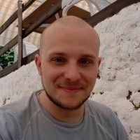 Federico Baccaini
