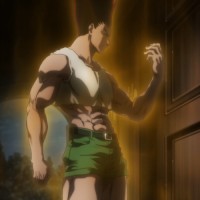 Gon Freeces
