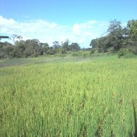 Xai Phommasouk