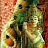 Greeshma M.G