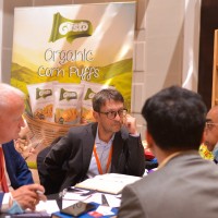 Catalin Petcu