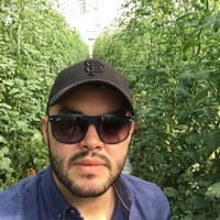 Juan Jose Ley Castro