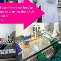 Katia Bouchekioua-Bouzaghou, Phd