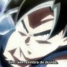 Walison Alves