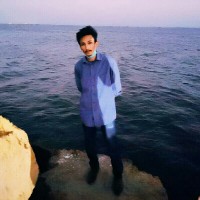 Zahid Hussayn
