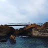 권석영