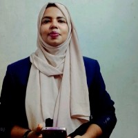 Sasna Ansar