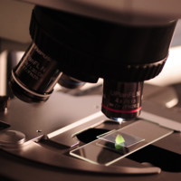 Optimiza Laboratory