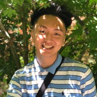 Roy Cho
