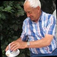 Jan M Torringa