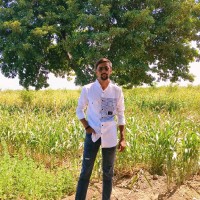 Smit Vaghasiya