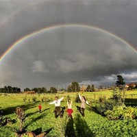 Daniel Baeza Verschueren