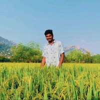 Santhosh Kumar Singaraju