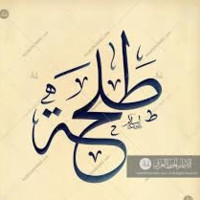 Talha Adeel