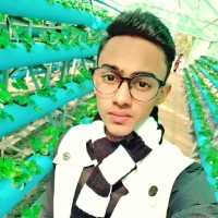 Ko Ko Naung