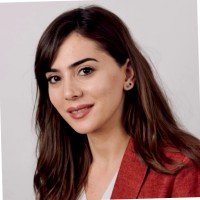 Sarin Poladian, Msc, Pmp