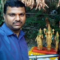 Narayan Anna
