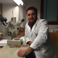 Antonio Morrone
