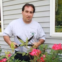 Mike Baldi